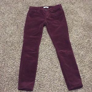 Loft corduroy pants 25/0 Modern Skinny